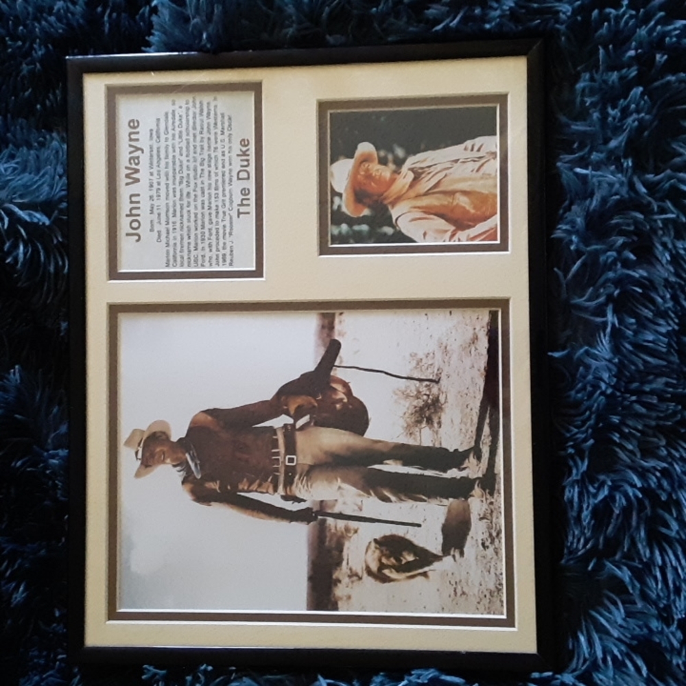 John Wayne collector picture